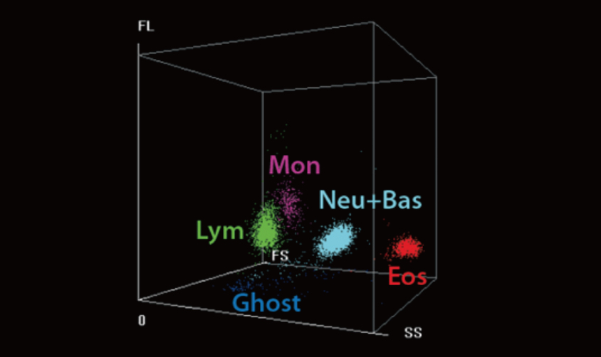 gln28-s6-2