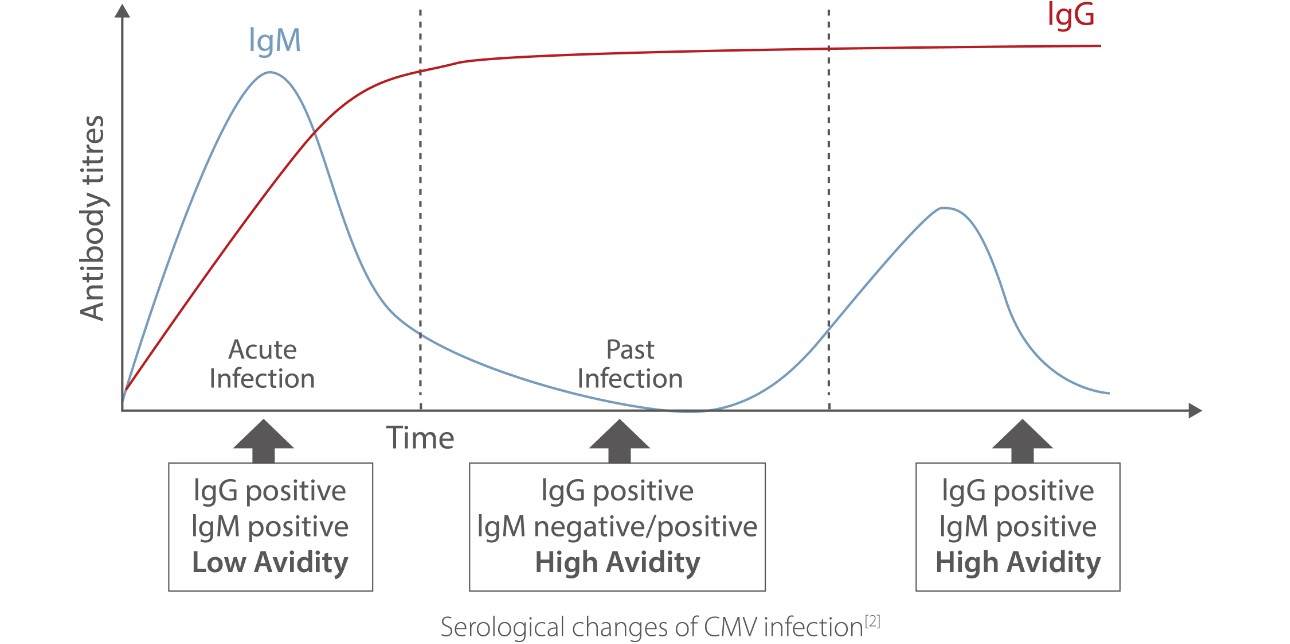 cytomegalovirus-fig3-pc