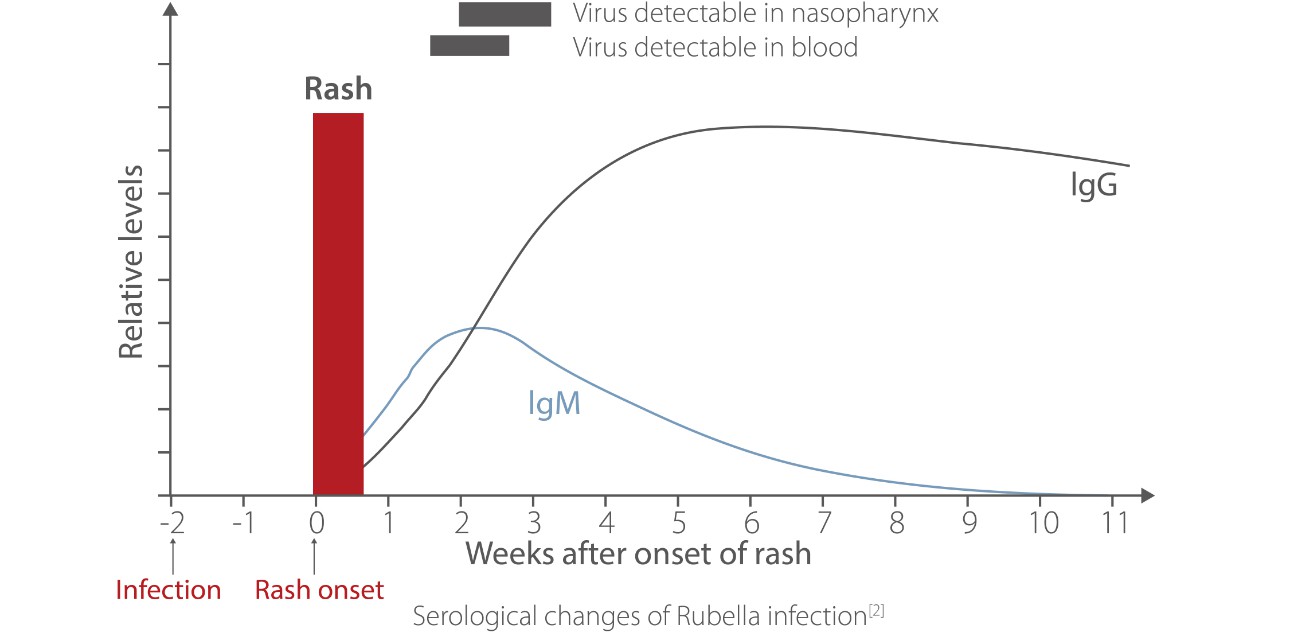 rubella-fig3-pc