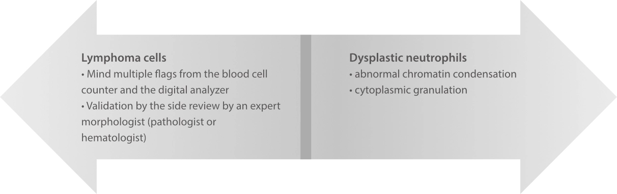 wbc-diff-digi-morphology-fig6-pc