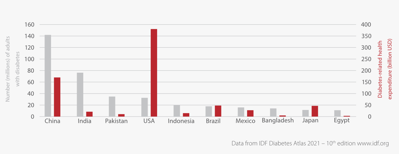 IVD Education: What is Diabetes? - Top 10 countries with diabetes