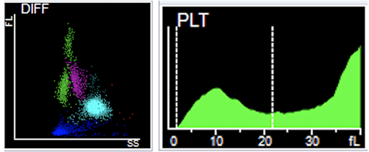 maurer-pigment-fig3-pc