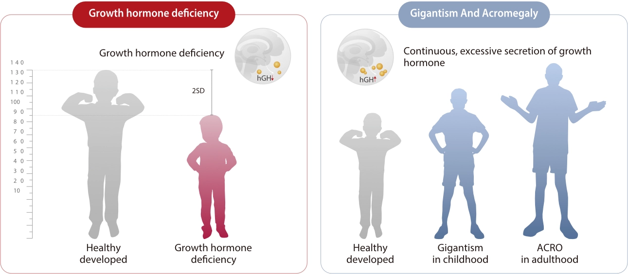 growth-hormone-kits-fig1-pc