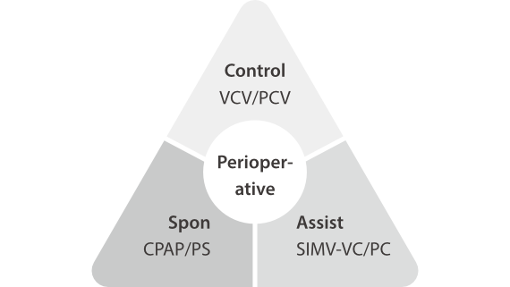 a1-fig4-1-en