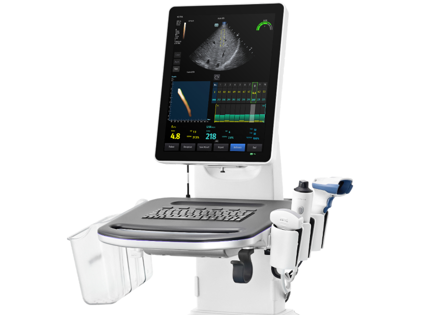 hepatus-series-fig3-pc