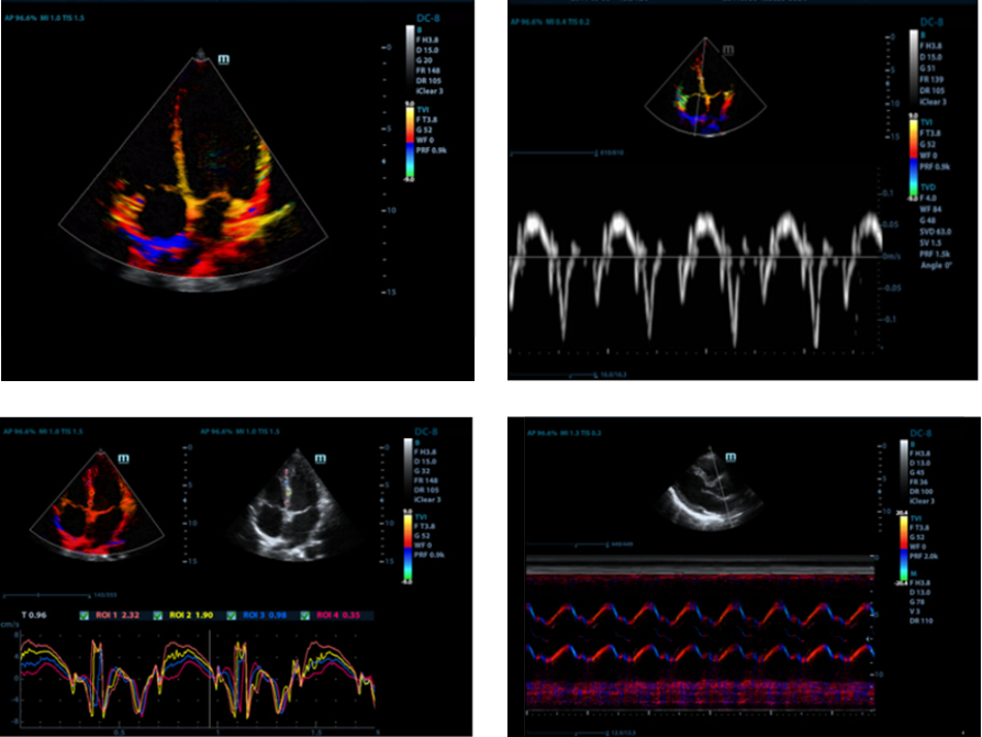 m9-fig10-pc