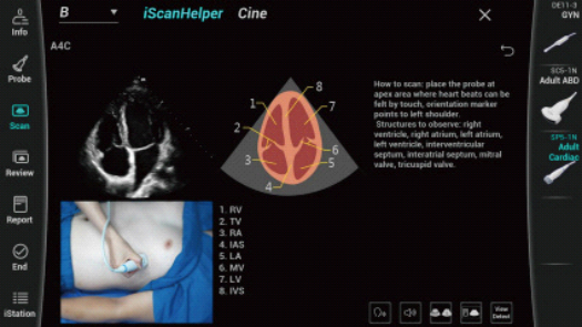 consona-n9-fig5-1