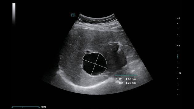 consona-n6-fig3-1-2