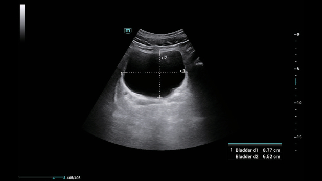 consona-n6-fig3-1-3