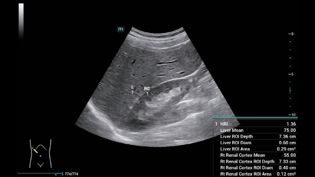 consona-n6-fig3-1-4