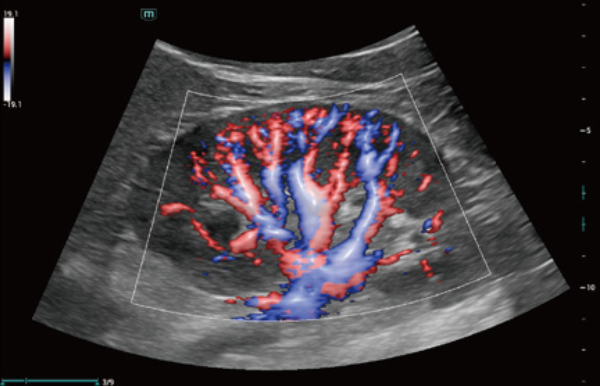 consona-n7-fig5-2