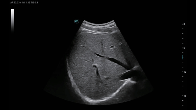 consona-n9-fig3-1-1