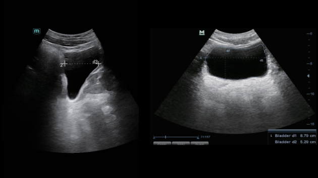 consona-n9-fig3-1-3