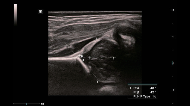 consona-n9-fig3-1-4