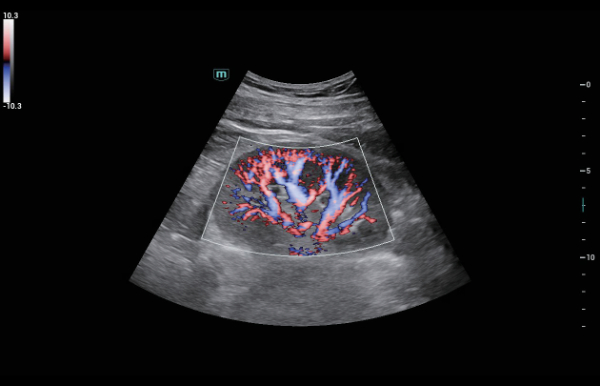 consona-n9-fig5-2