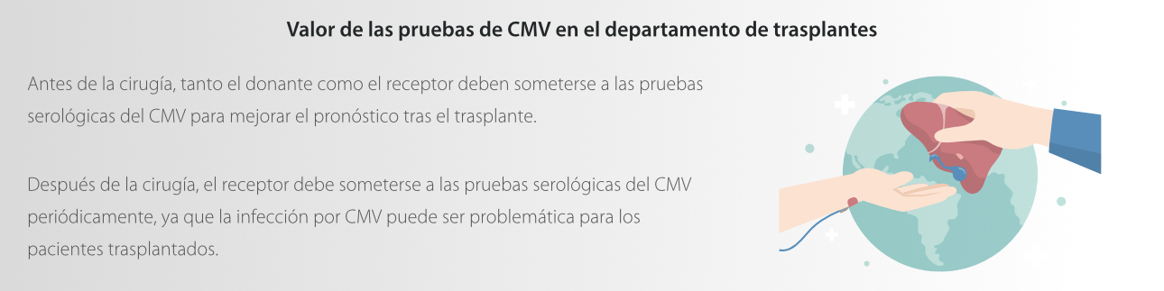 cytomegalovirus-fig6-pc-es-la