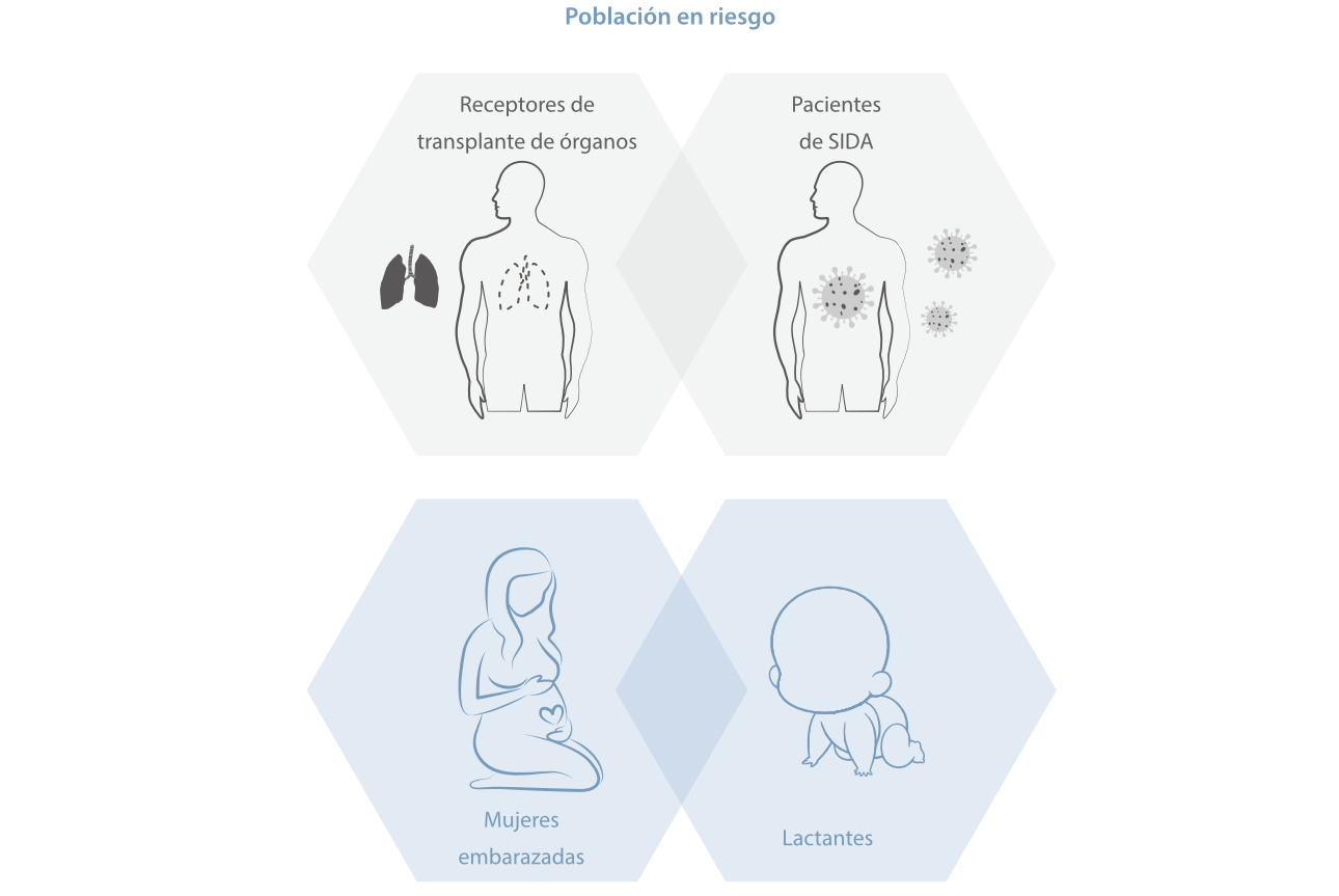 toxoplasmosis-fig2-pc-es-la