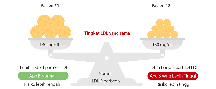 gln19-s6