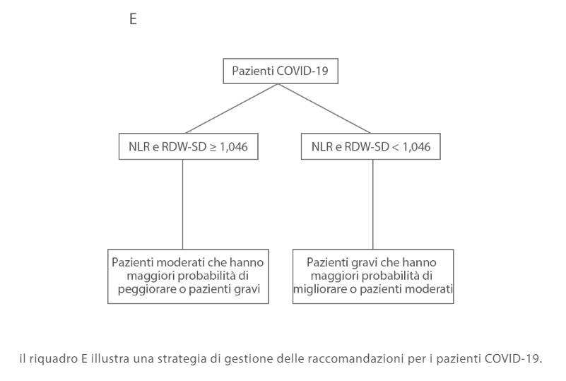 gln22-s4-3-1