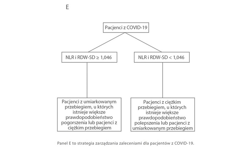 gln22-s4-3-1