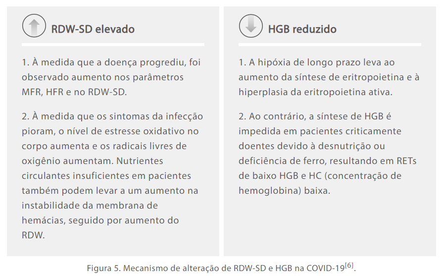 gln22-s5-1