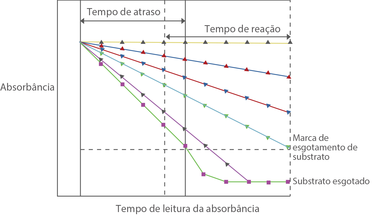 gln43-s2