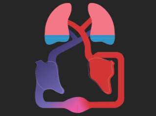 HemoSight: Clinical Information Leaflet