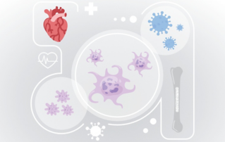 Hemabook Chapter 20: Understanding Immature Platelet Fraction and Its Applications