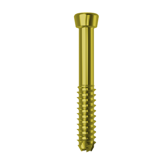 Cannulated Screw