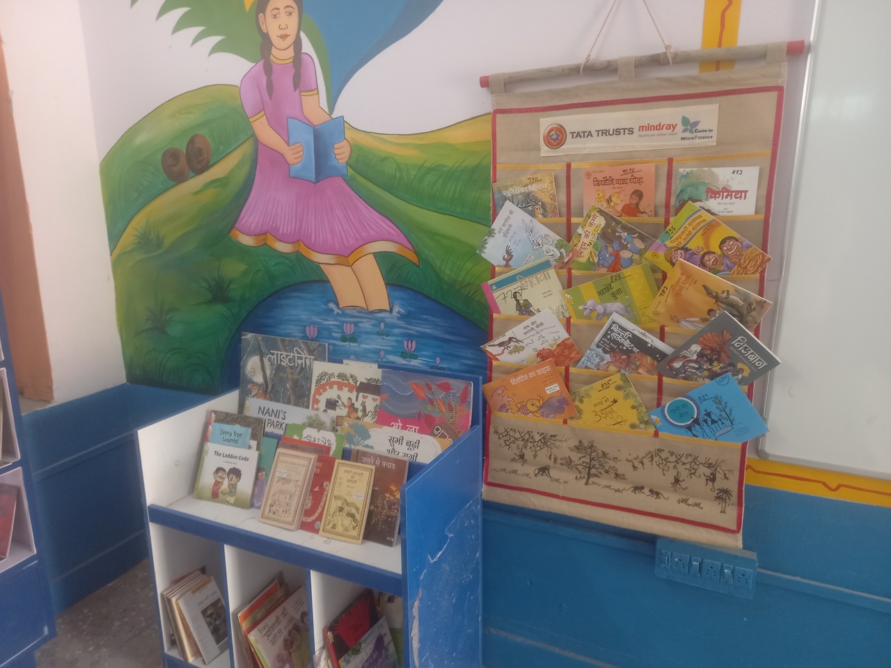 The Rajasthan School Library Promotion Project: Empowering Young Minds