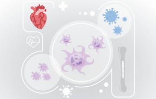 Hemabook Chapter 20: Understanding Immature Platelet Fraction and Its Applications