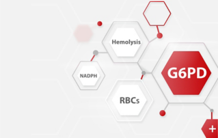 G6PD Deficiency and G6PD Activity Testing